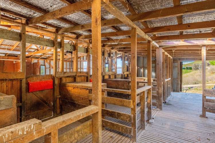 Lot 2 Argyll Road Otane_12