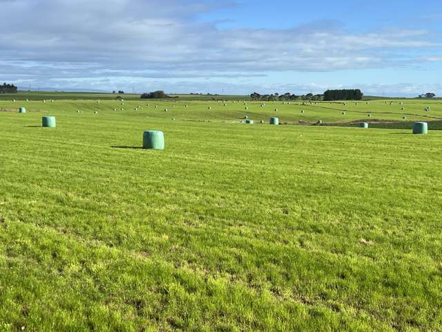 Horizon Views With 3.56 Hectares!