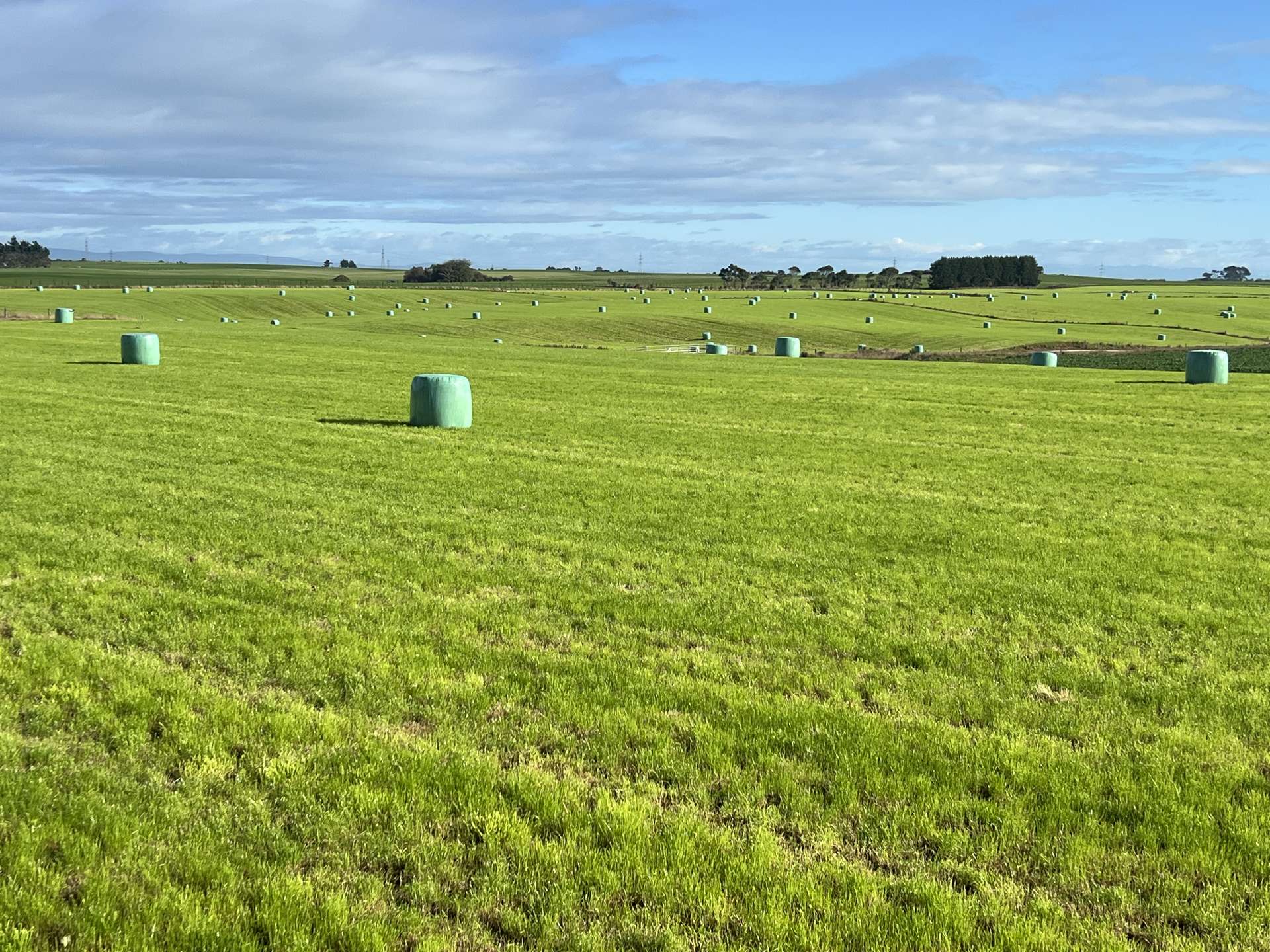 165 Orr Road Waimatua_0