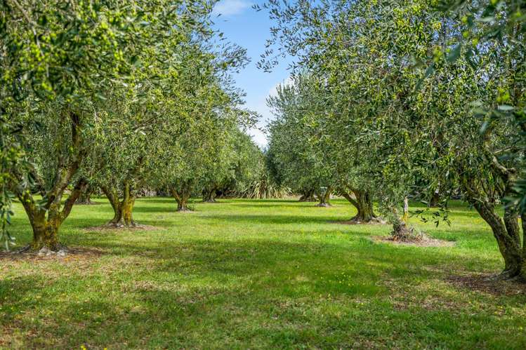 447 Wairau Bar Road Spring Creek_32