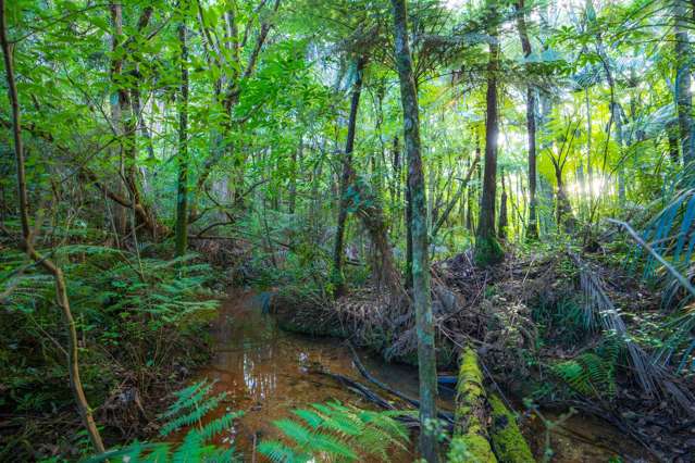 921 Pataua North Road Whareora_3