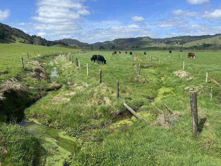 2858 State Highway 30 Benneydale_12