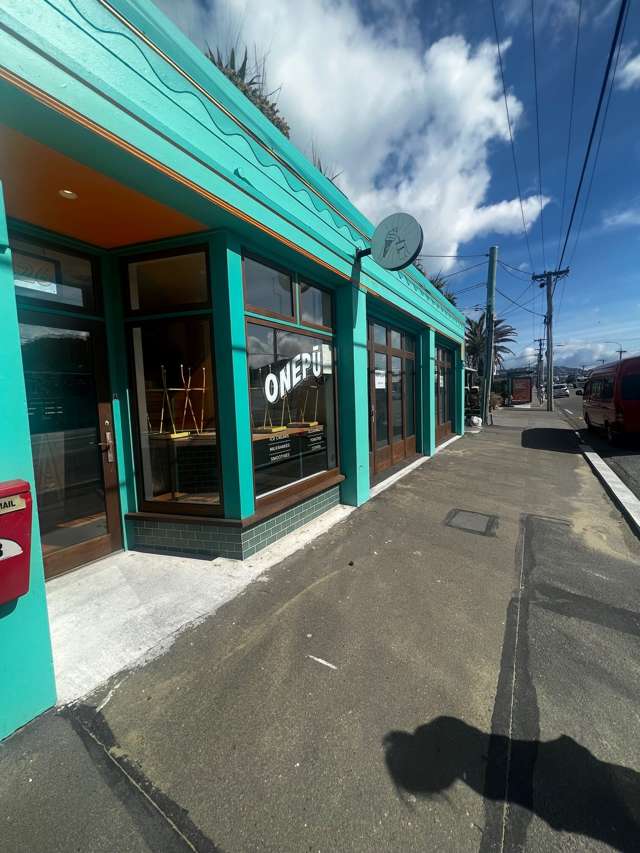 226-228 Onepu Road Lyall Bay_1