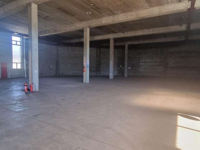 2 Cornish street Petone_2