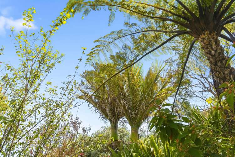 75 Liverpool Street Levin_33