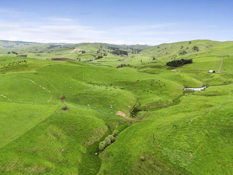 637 to 897 Tahuroa Road Morrinsville_16