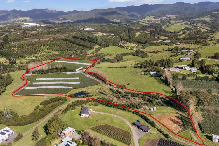 175 Busby Road Katikati_0