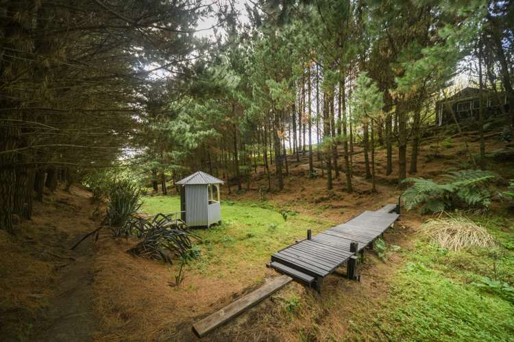 58 County Heights Drive Aokautere_15