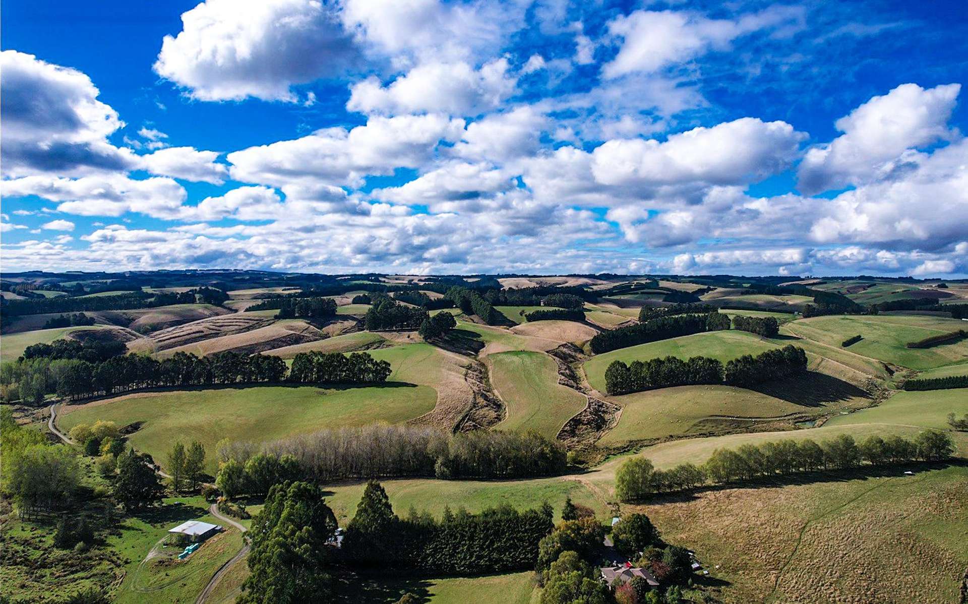 144 Block Road Pukeawa_0