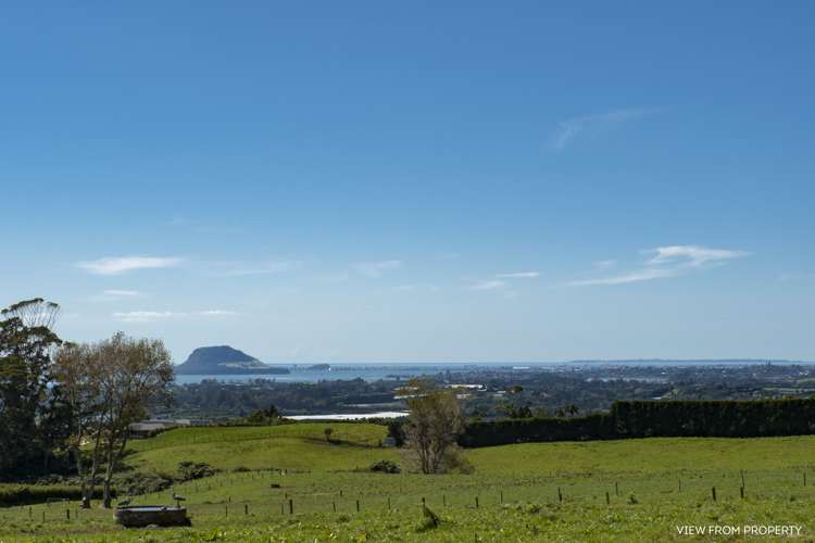 423c Youngson Road Whakamarama_24