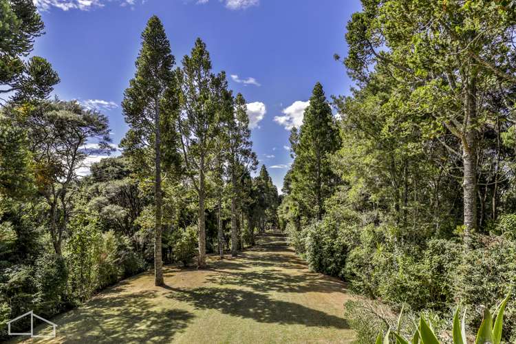 215 Konini Road Titirangi_27