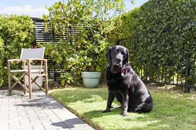 55 Chateau Crescent_4