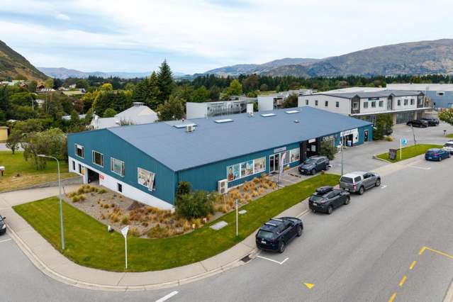 Strategic Investment with Mixed Use Flexibility