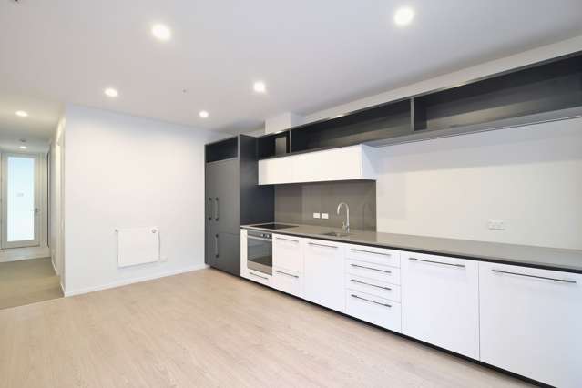 102/11 Vinegar Lane Grey Lynn_2