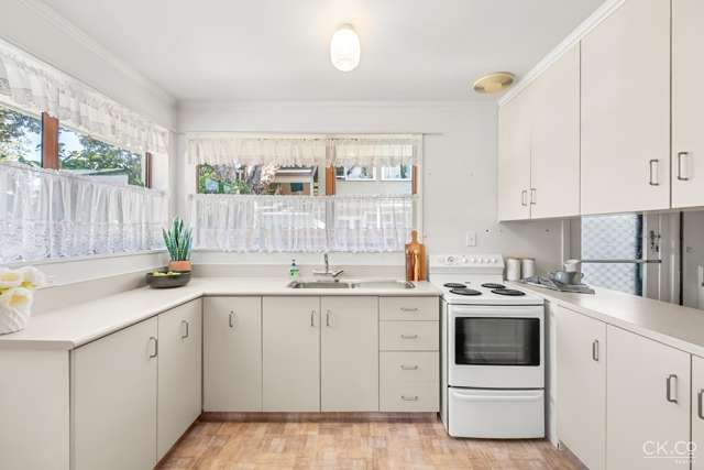 19 Bloomfield Terrace Lower Hutt Central_1