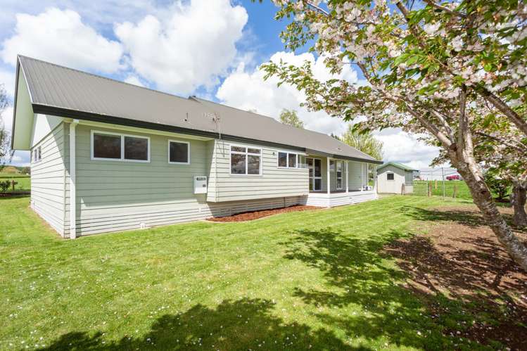 667 Hutchinson Road Morrinsville_16