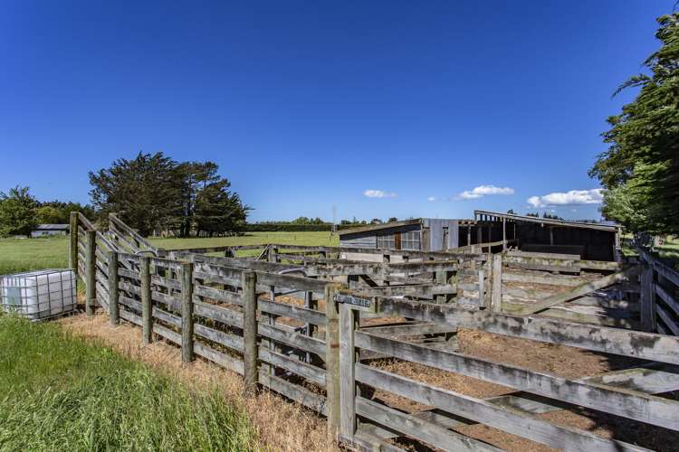 89 Camwell Park Flaxton_20
