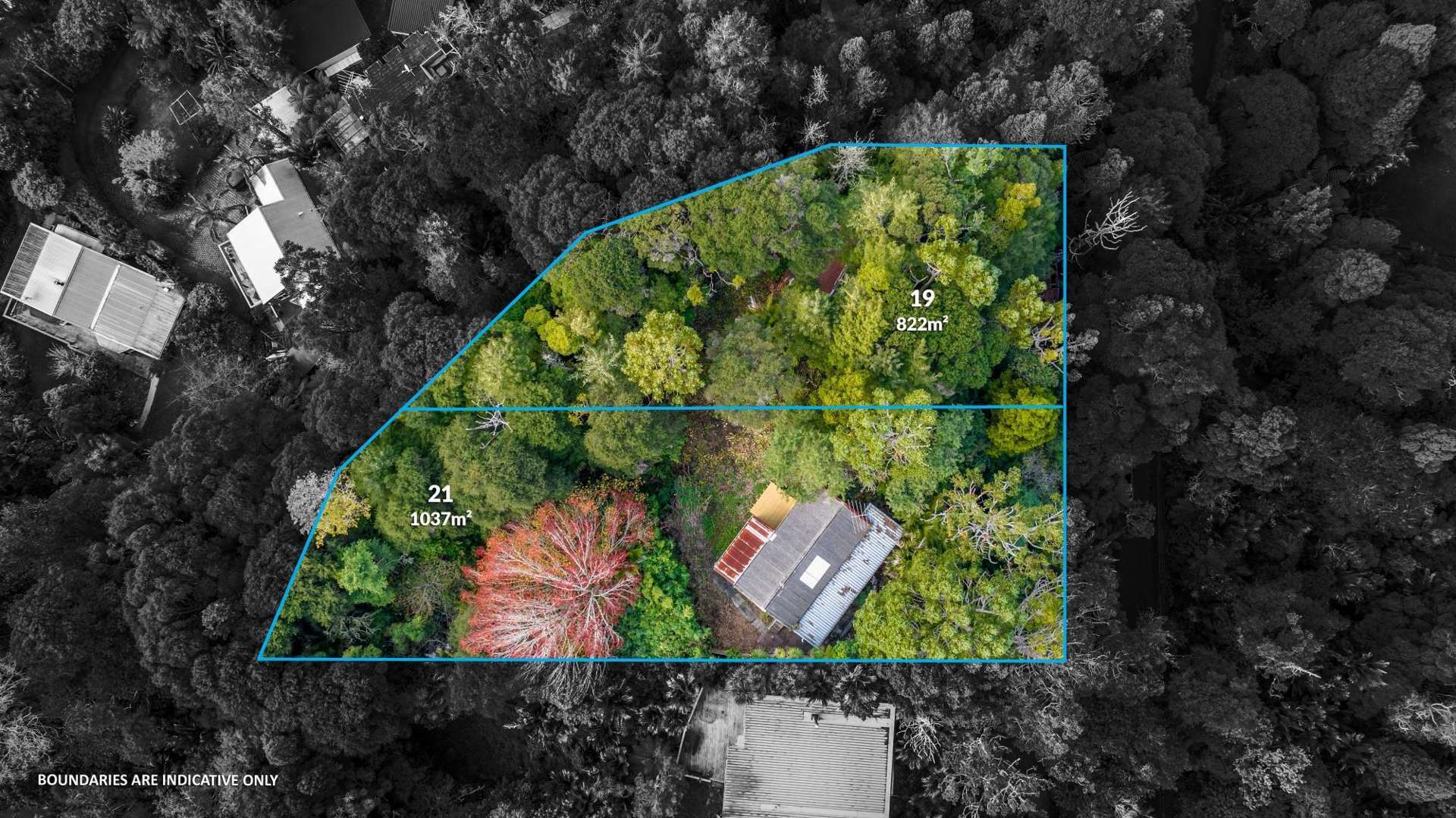 19 & 21 Paturoa Road Titirangi_0