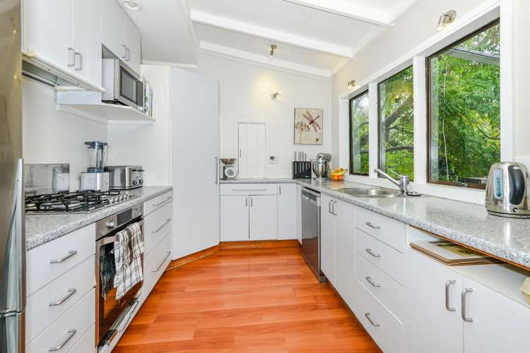 81 Lincoln Street Ponsonby_5