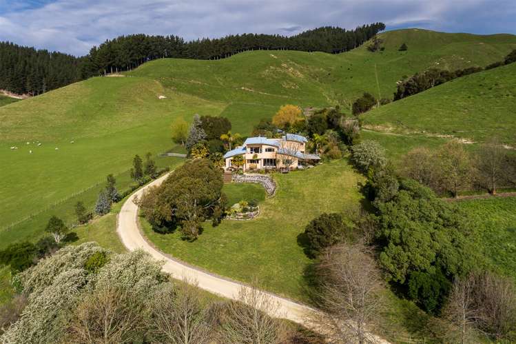 409 Seafield Road Eskdale_20