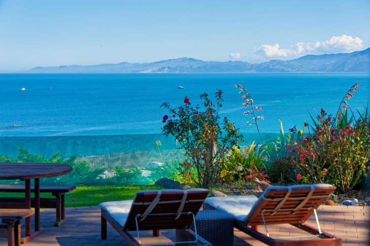 40 State Highway 1 Kaikoura Surrounds_43