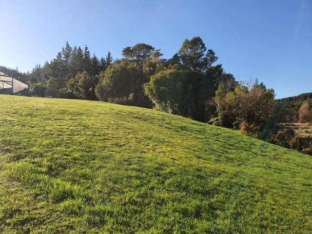 Stafford Road Hokitika_2