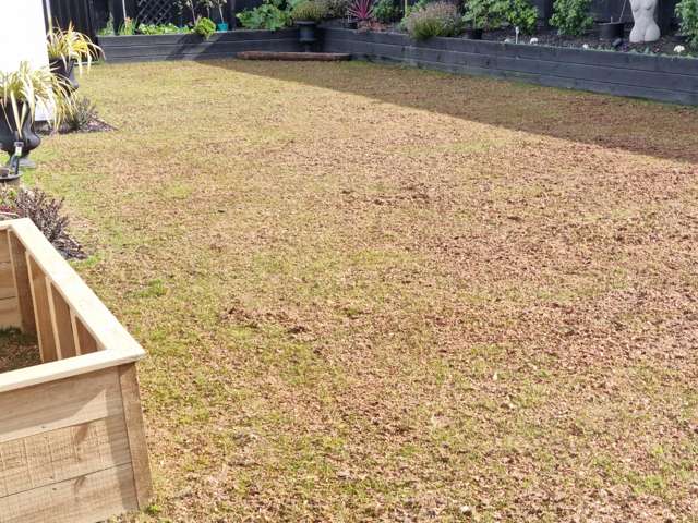 Lawn Care Business Rolleston_1