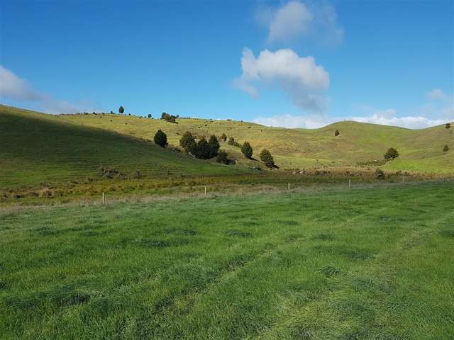 Okokako Road Waimate North_3