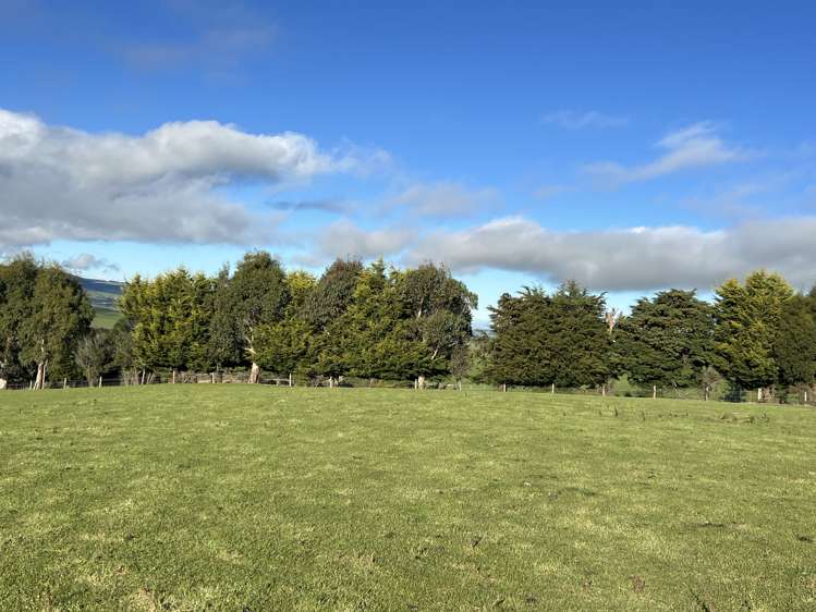 295 Stirling Road Winton Surrounds_4