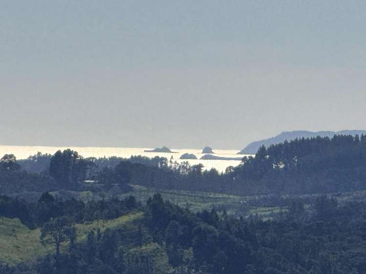 206C Silverstream Falls ROW Whenuakite_56