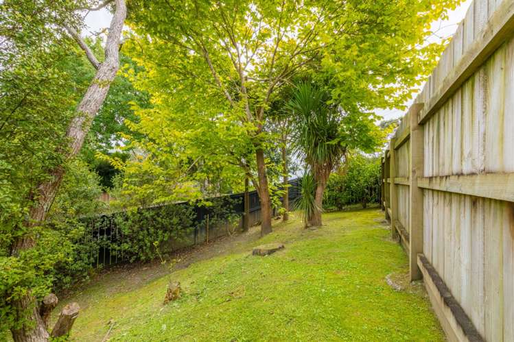 2b Autumn Avenue Glen Eden_13