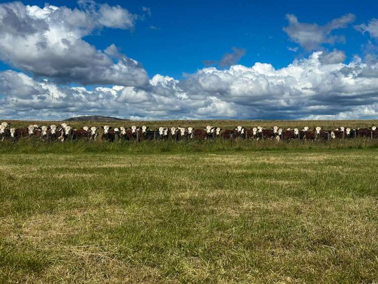 412 Kakapo Road Te Anau_18