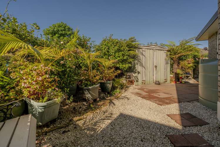 39 Springbok Avenue Whitianga_30