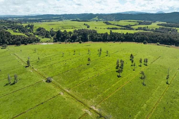 Farm 1 Pukehuia Road Tangiteroria_11