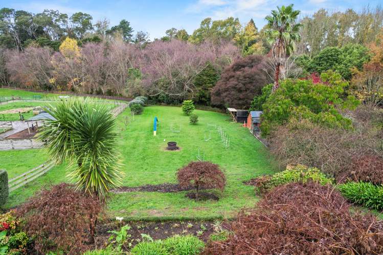 12 Oak Street Morrinsville_25