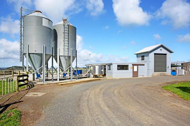 1047 Awhitu Road Pollok_16