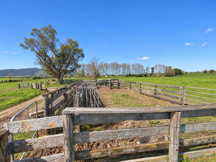5661 State Highway 26 Te Aroha_10