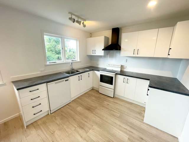 41 Gilliam Street New Lynn_2