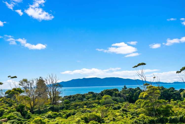 11 Humenga Place Long Bay_40