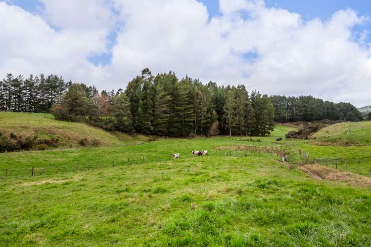 4 Quarry Road Eketahuna_7