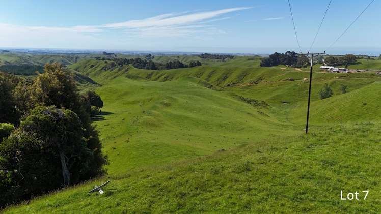 Lot 3 and 7/1005 Rangitatau East Road Kai Iwi_12