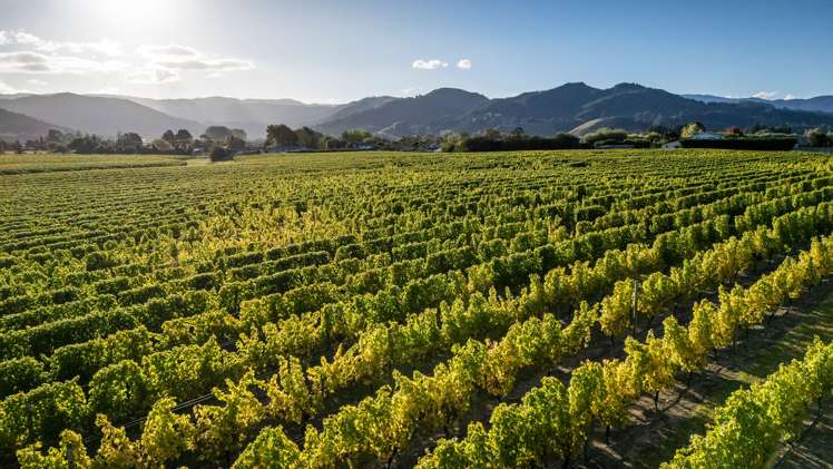 146 Lodder Lane Riwaka Motueka_33