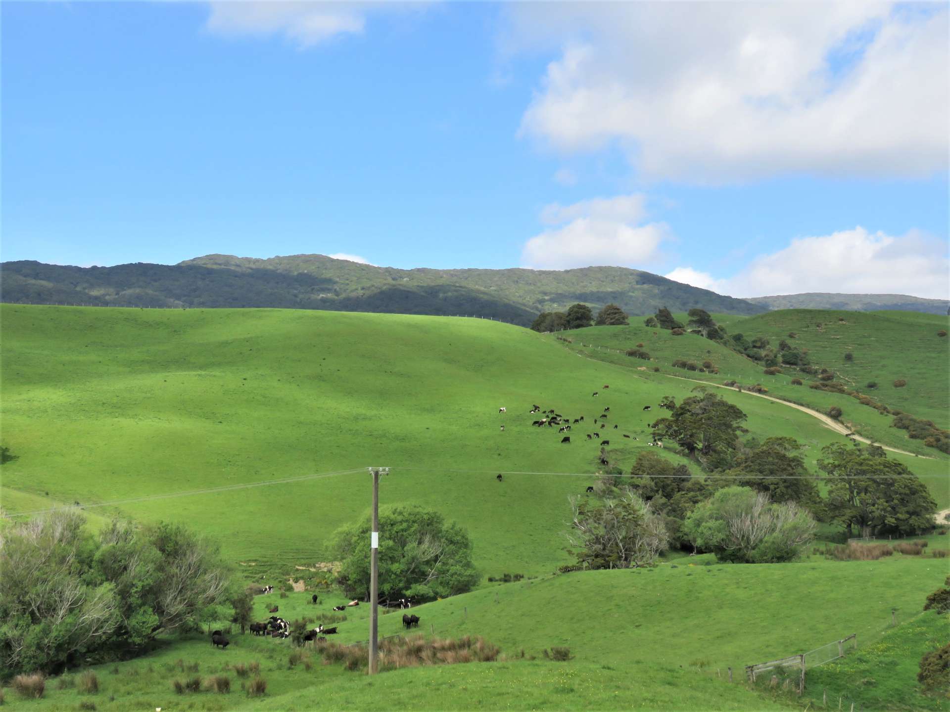 1306 Happy Valley Road Tuatapere_0