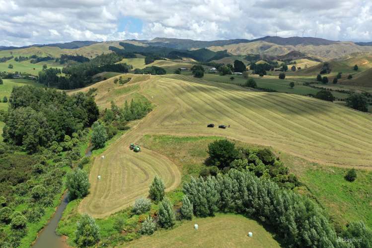 211 Waitetuna Valley Road Raglan_16