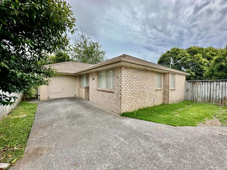 26a Rathgar Road Henderson_0