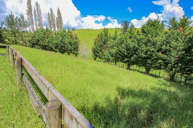 7325 State Highway 1 Kaitaia_22