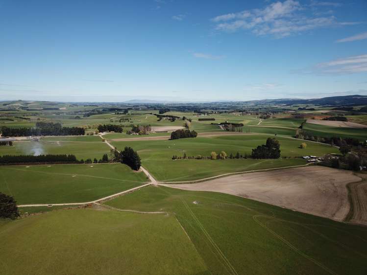 336 Mathesons Corner Road West Otago Surrounds_10