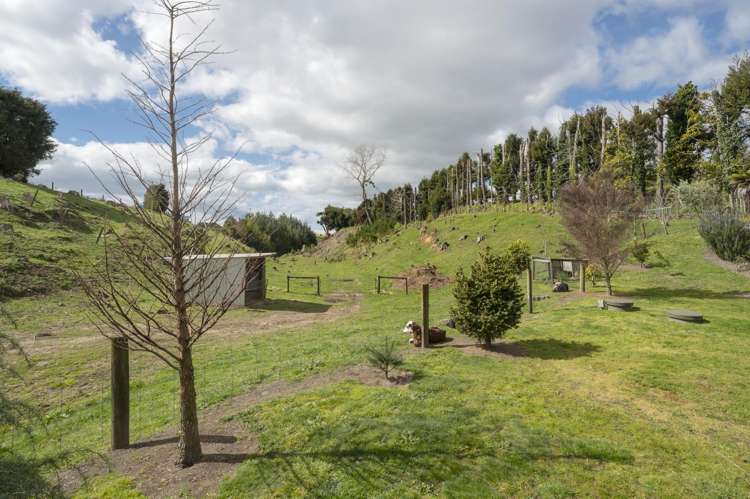 589 Rangiuru Road Te Puke_8