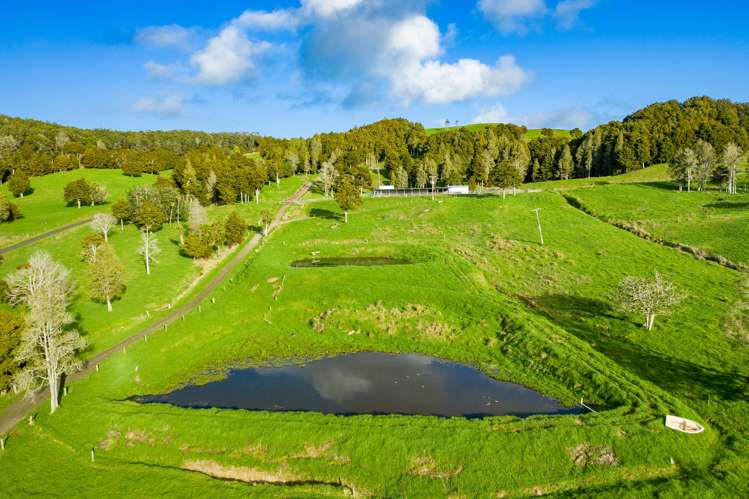 1053 Waihue Road Dargaville Surrounds_11