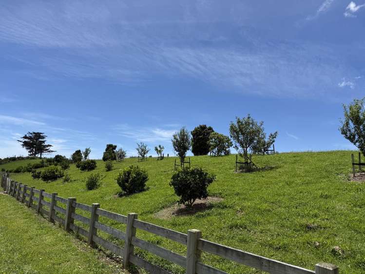 7 Johnson Place Silverdale_34